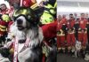 México recibe a rescatistas de la Cruz Roja tras misión humanitaria en Venezuela
