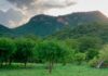 Las lluvias transforman la sierra de Choix y devuelven el verde a Las Ciruelas