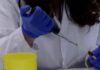 Vacuna experimental contra mutaciones de KRAS muestra resultados prometedores frente al cáncer de páncreas