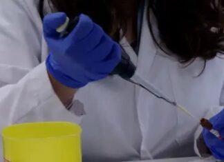 Vacuna experimental contra mutaciones de KRAS muestra resultados prometedores frente al cáncer de páncreas