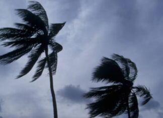 Huracán Genevieve baja a categoría 3, pero mantiene lluvias en Sinaloa y el Pacífico mexicano