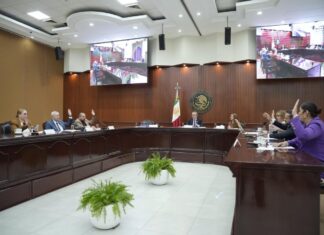 Congreso de Sinaloa recibe seis iniciativas; plantean regular cirugías estéticas en menores