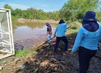 Lluvias saturan de lodo el río Tamazula y retrasan el servicio de agua potable en Culiacán
