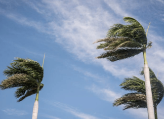 Lluvias y vientos azotan El Fuerte: Arroyos desbordados, una comunidad incomunicada y una vivienda colapsada