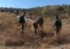ONG demanda a la Segob por la inoperancia y desactualización del registro de fosas clandestinas
