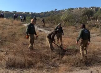 ONG demanda a la Segob por la inoperancia y desactualización del registro de fosas clandestinas