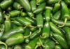 Alerta en Estados Unidos por jalapeños de Sinaloa: Salmonella deja más de 300 contagios y decenas de hospitalizados