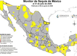 Sinaloa borra la sequía de su territorio y aparece en gris total en el mapa nacional