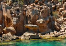 Patrimonio ambiental: Islas del Golfo de California cumplen 48 años como Área Natural Protegida