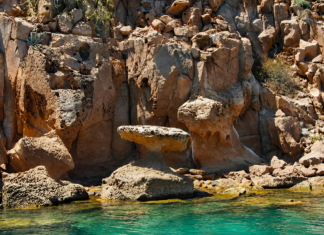 Patrimonio ambiental: Islas del Golfo de California cumplen 48 años como Área Natural Protegida