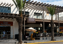 Estrategia económica: Subsecretaría de Economía de BCS busca fortalecer a empresas locales ante temporada baja