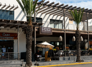 Estrategia económica: Subsecretaría de Economía de BCS busca fortalecer a empresas locales ante temporada baja
