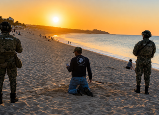 Protección marina: Anidación atípica de tortugas activa operativo en El Médano; protegen más de 26 mil huevos