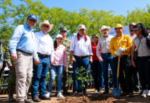 Reforestación masiva: BCS destinará 125 mil plantas a 831 hectáreas en jornada nacional