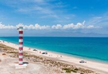 Fallo ambiental: Descarta Semarnat reposición de consulta pública sobre Los Saguaros Marina Resort