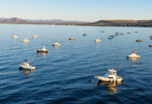 Guía indispensable: Permisos de pesca deportiva en BCS: ¿cómo conseguirlos y cuánto cuestan?