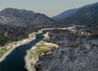 Europa enfrenta incendios extremos que ya generan su propio clima y obligan a miles a evacuar