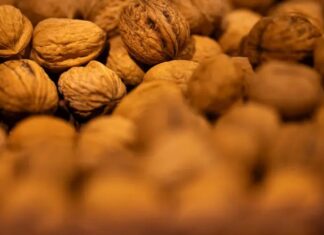China golpea a las nueces pecanas de México y EU con aranceles de hasta 54.3%