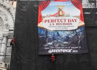 Suprema Corte atrae caso de “Perfect Day” y pone bajo revisión el plan urbano de Mahahual