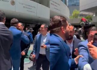 Carlos Gutiérrez Mancilla y Arturo Ávila se enfrentan a empujones en el Senado