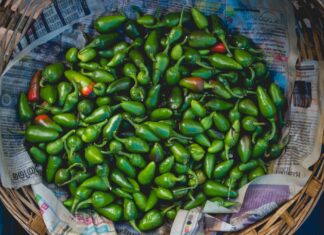 Cofepris descarta Salmonella en jalapeños analizados tras alerta de EU