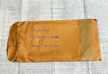 Huertas ligadas a “El Chango” y “La Puerca” exportan aguacate a China con registros oficiales