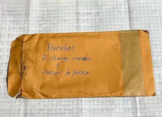 Huertas ligadas a “El Chango” y “La Puerca” exportan aguacate a China con registros oficiales