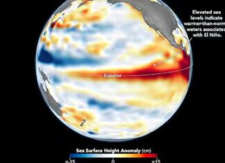 El Niño se intensifica: sus últimas cuatro décadas superan los registros del último milenio