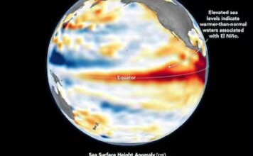 El Niño se intensifica: sus últimas cuatro décadas superan los registros del último milenio