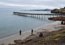 Medida preventiva: COEPRIS restringe el acceso a las playas de La Paz durante cuatro días por la tormenta Marie