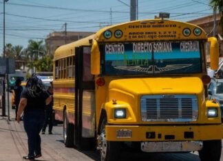 Aprueban aumento de 33% al transporte público de La Paz; pasaje sube a 16 pesos