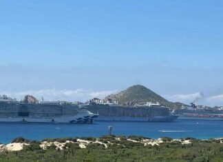 Cuatro cruceros llegan a Cabo San Lucas y empresarios esperan repunte en ventas