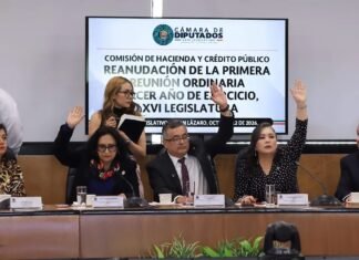 Diputados aprueban incrementos a cuotas migratorias y cobros por espacio aéreo y vías de tren